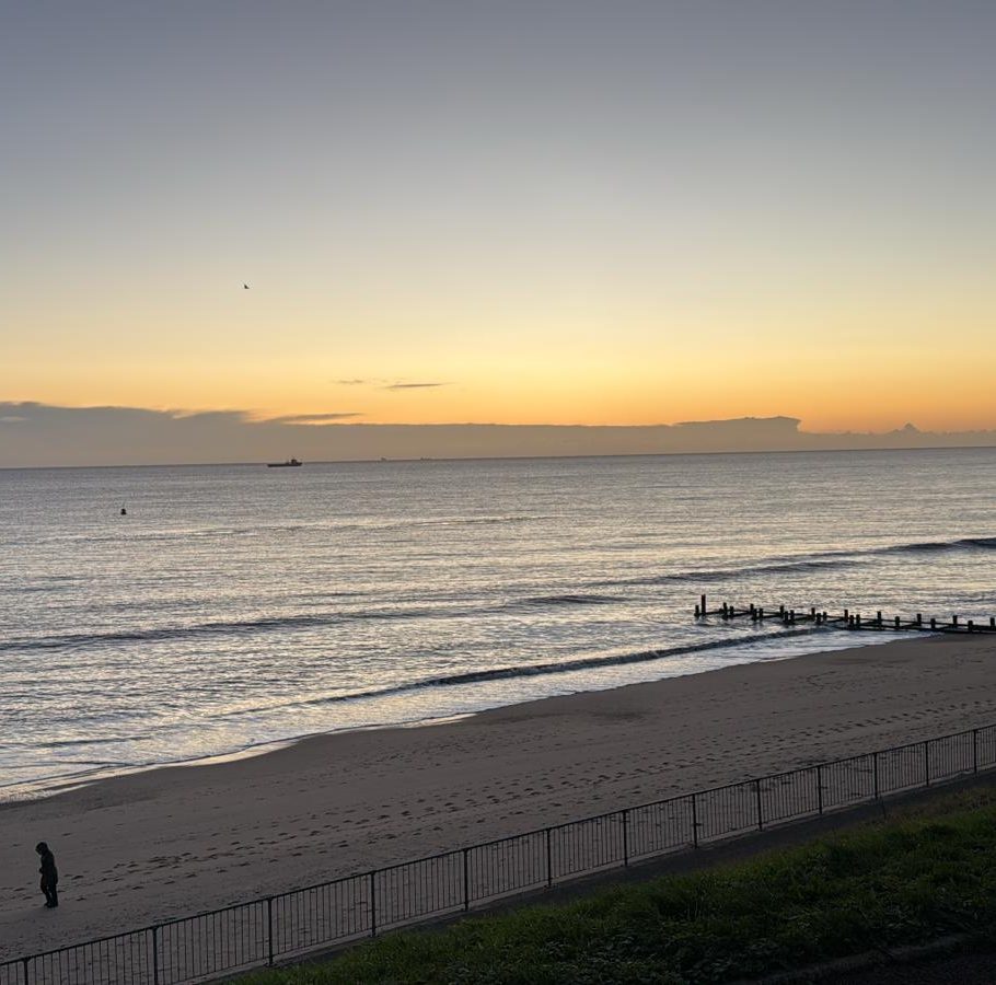 Image: Sea. How emotions and their regulations change but waves still coming and need leading.